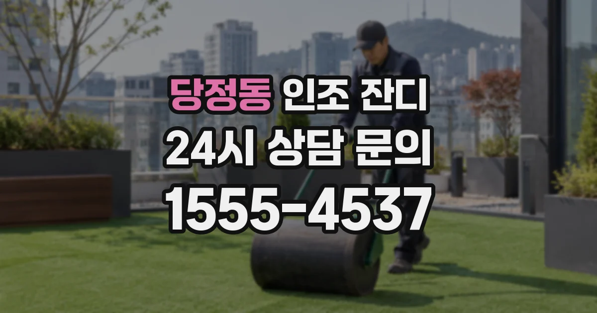 당정동 인조 잔디