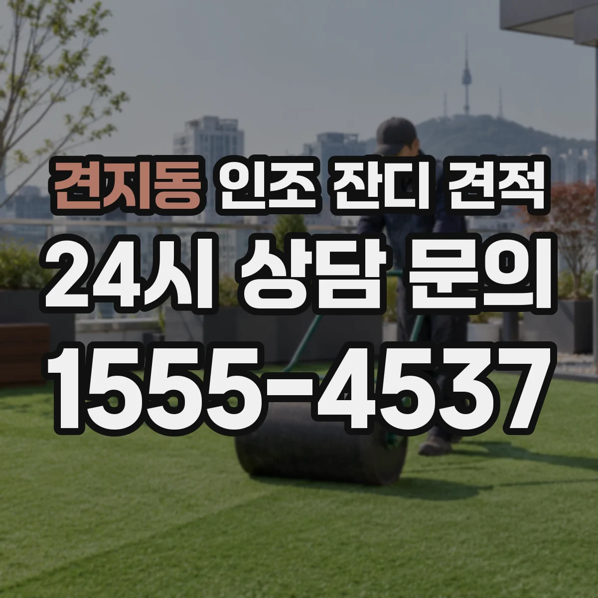 견지동 인조 잔디 견적