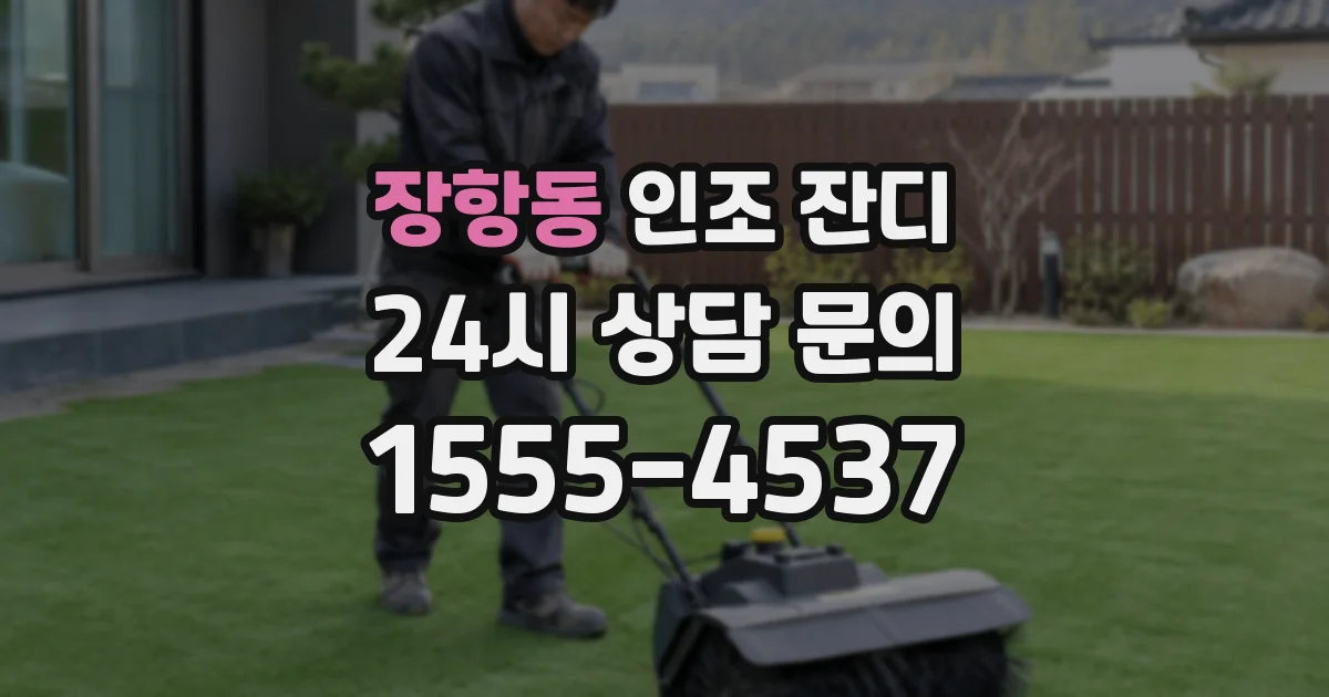 장항동 인조 잔디