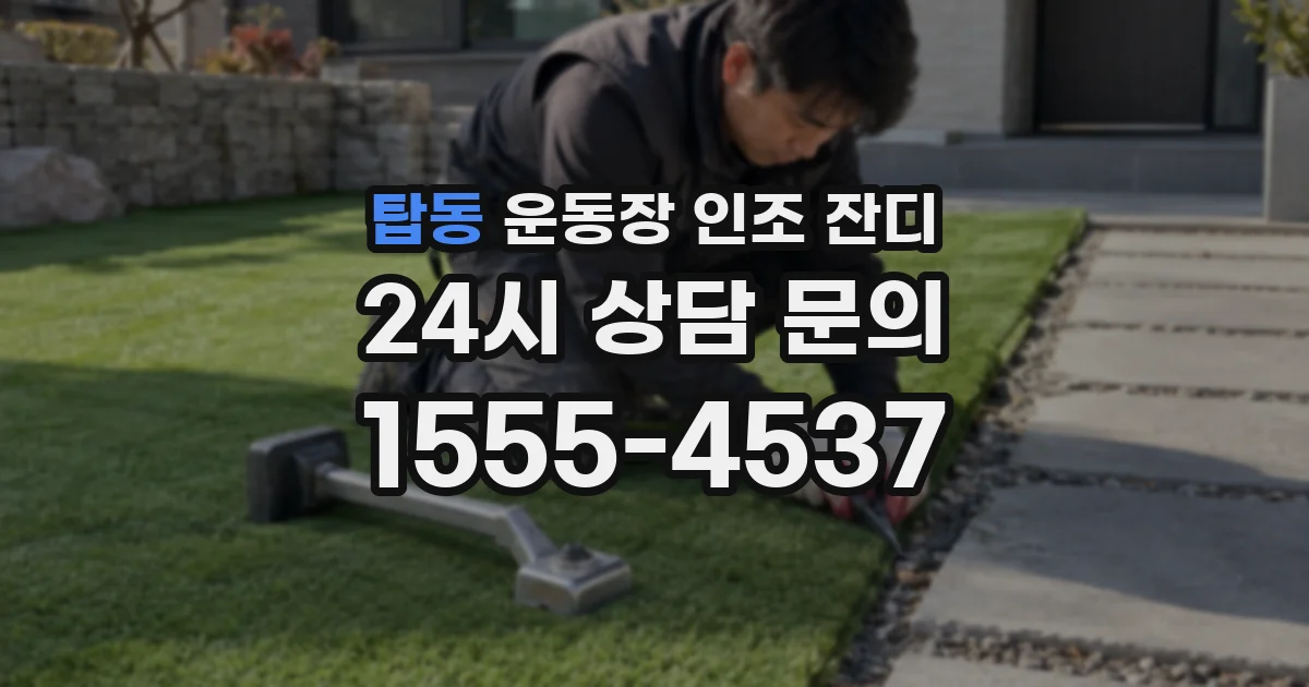 탑동 운동장 인조 잔디
