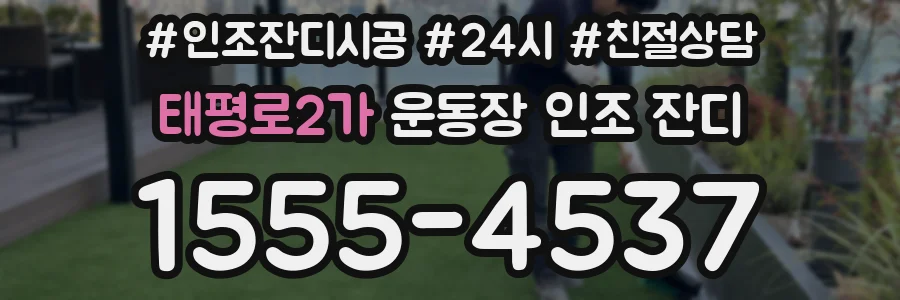 태평로2가 운동장 인조 잔디