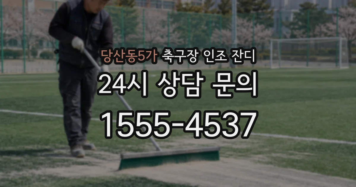 당산동5가 축구장 인조 잔디