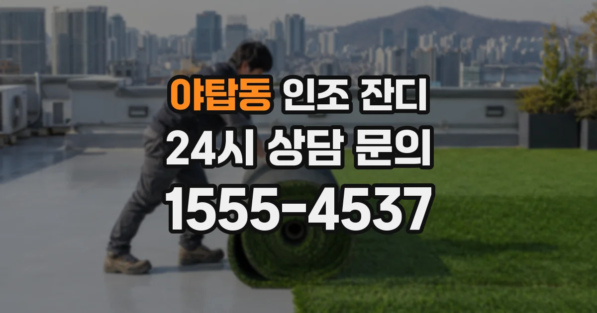 야탑동 인조 잔디