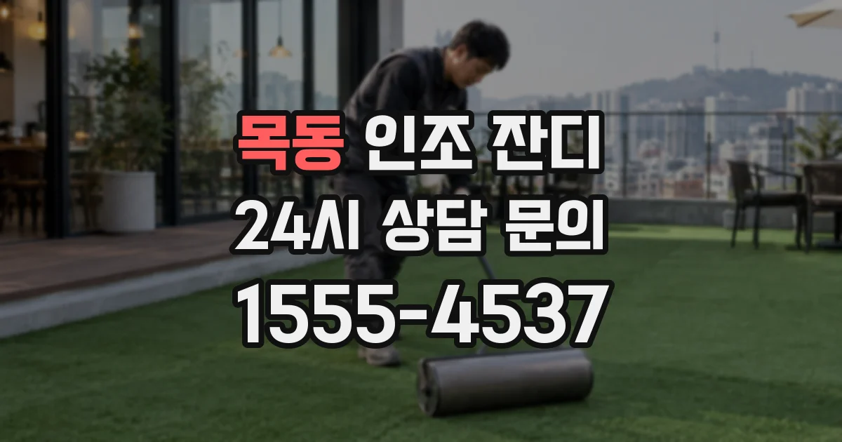 목동 인조 잔디