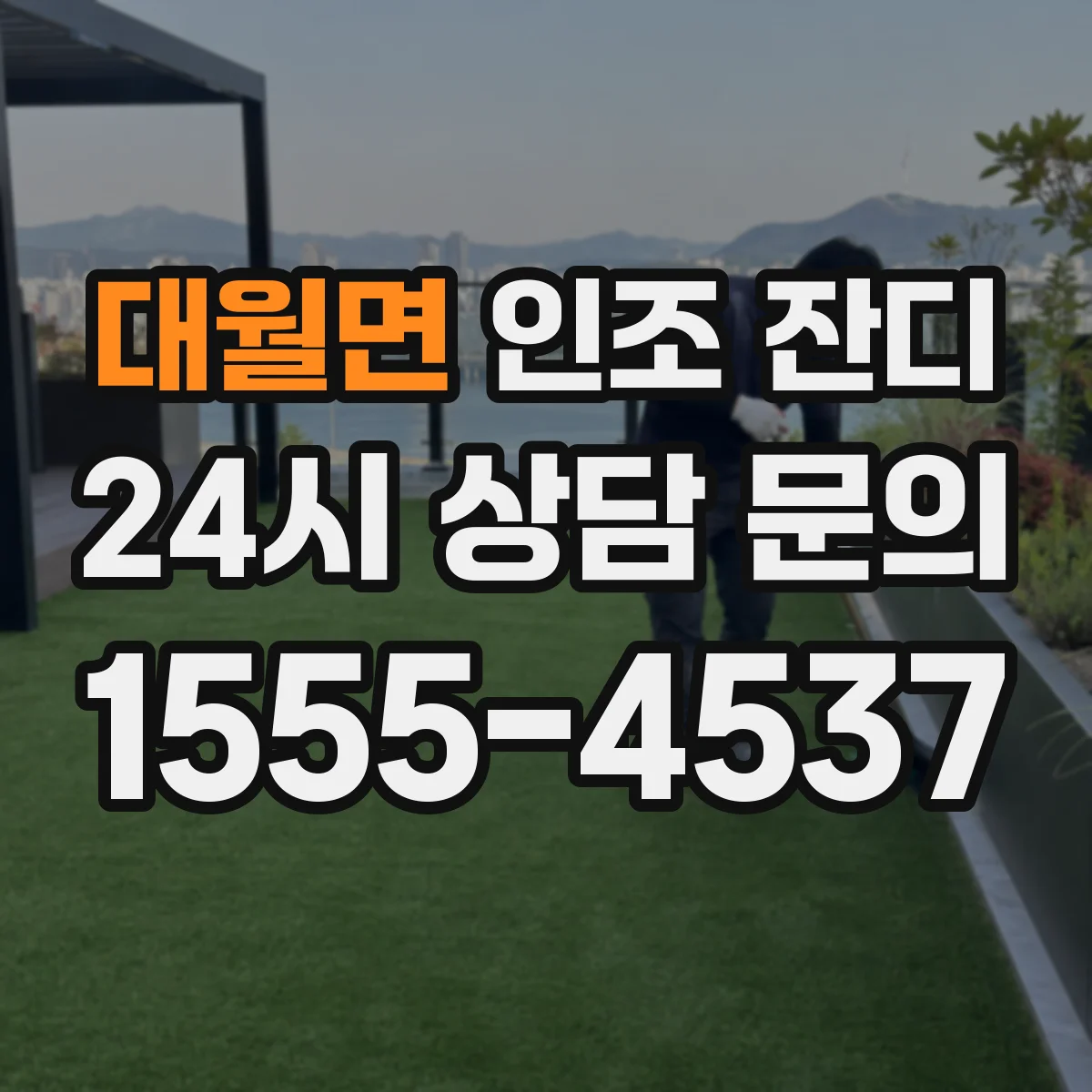 대월면 인조 잔디