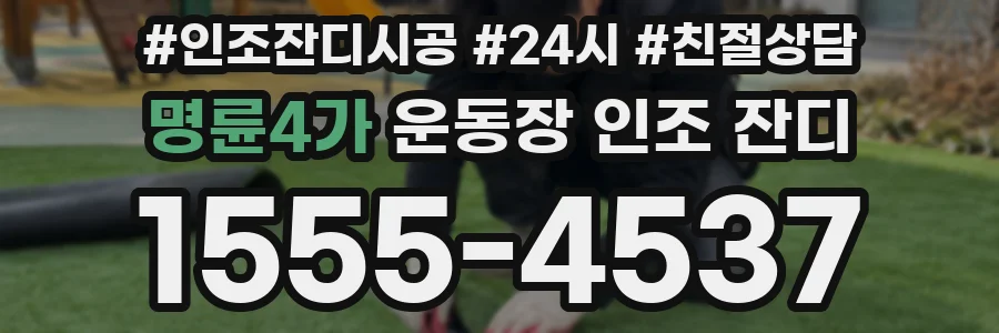 명륜4가 운동장 인조 잔디