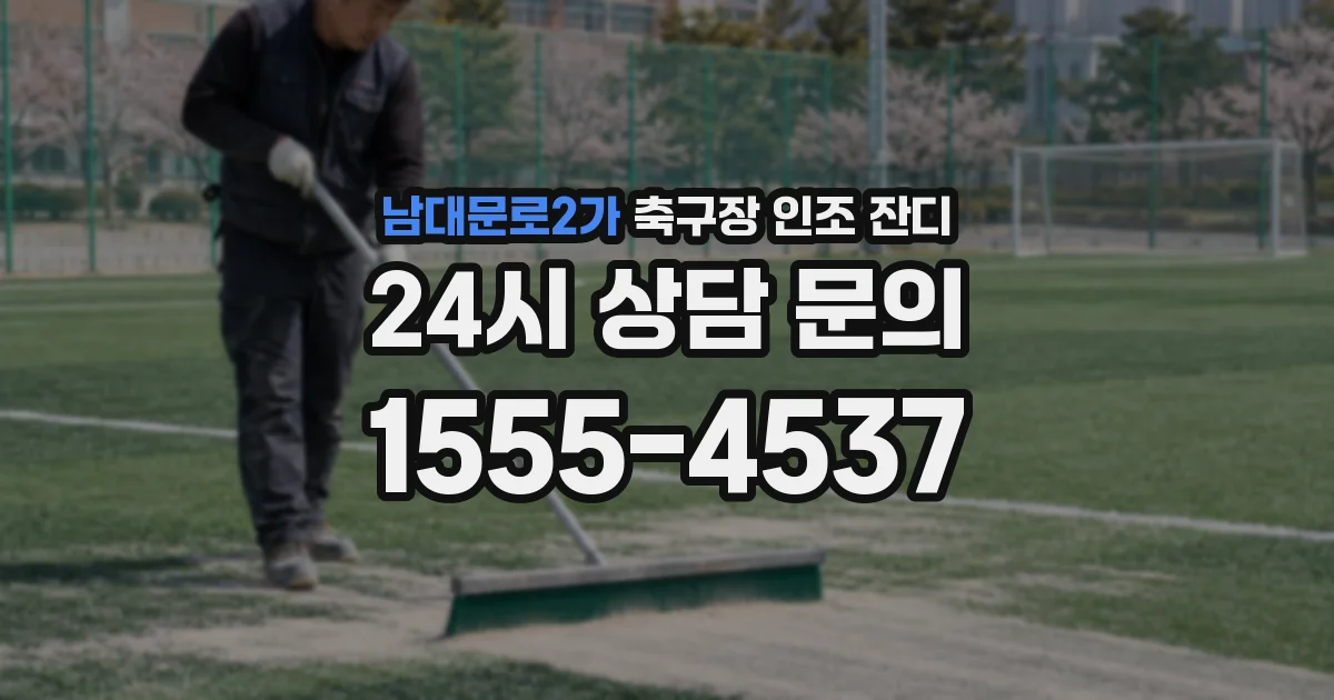 남대문로2가 축구장 인조 잔디