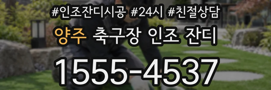양주 축구장 인조 잔디