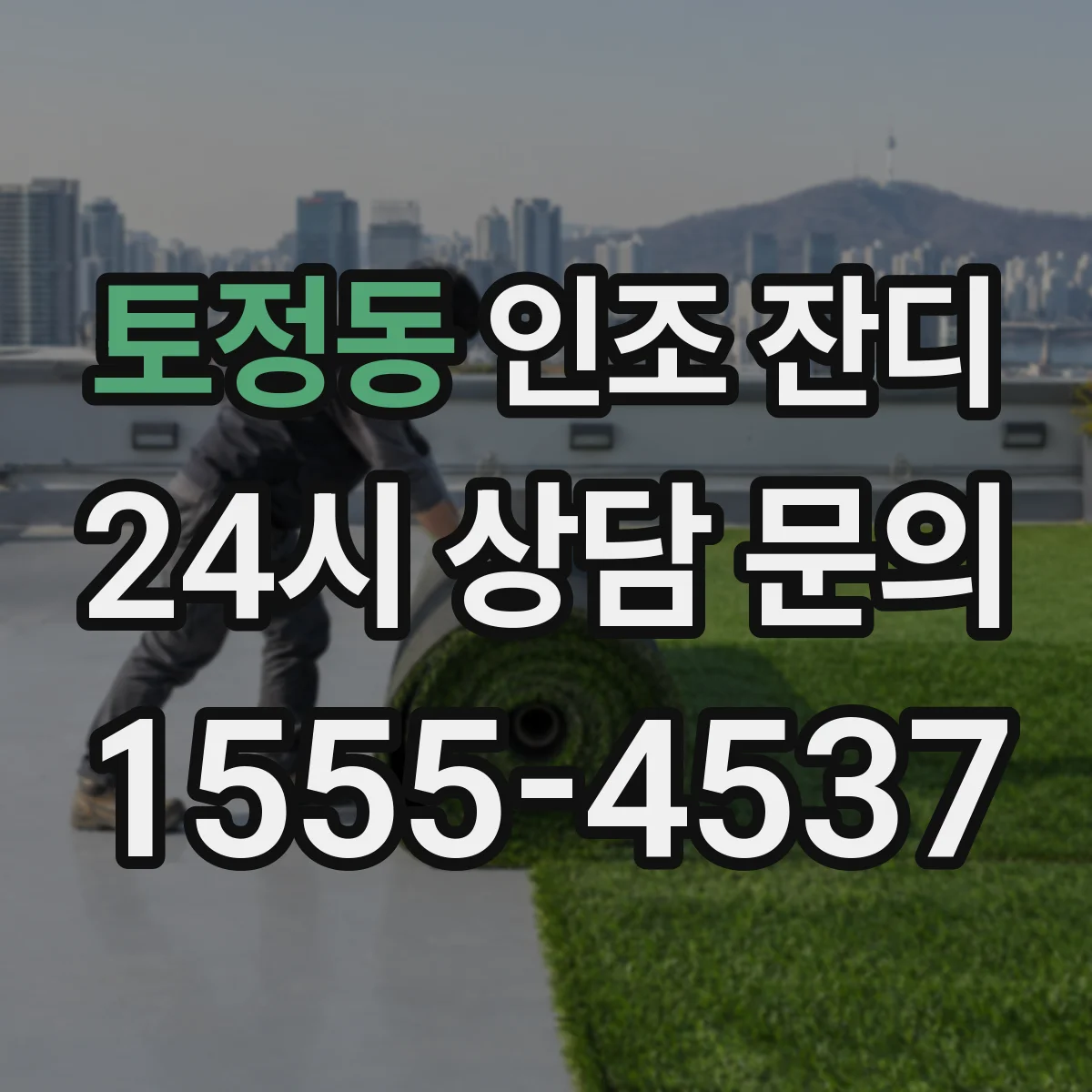 토정동 인조 잔디
