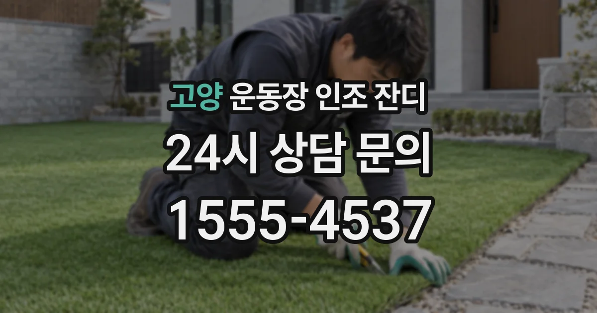 고양 운동장 인조 잔디