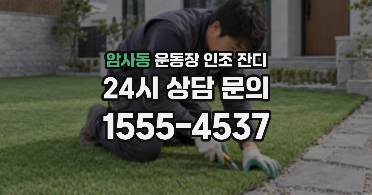암사동 운동장 인조 잔디