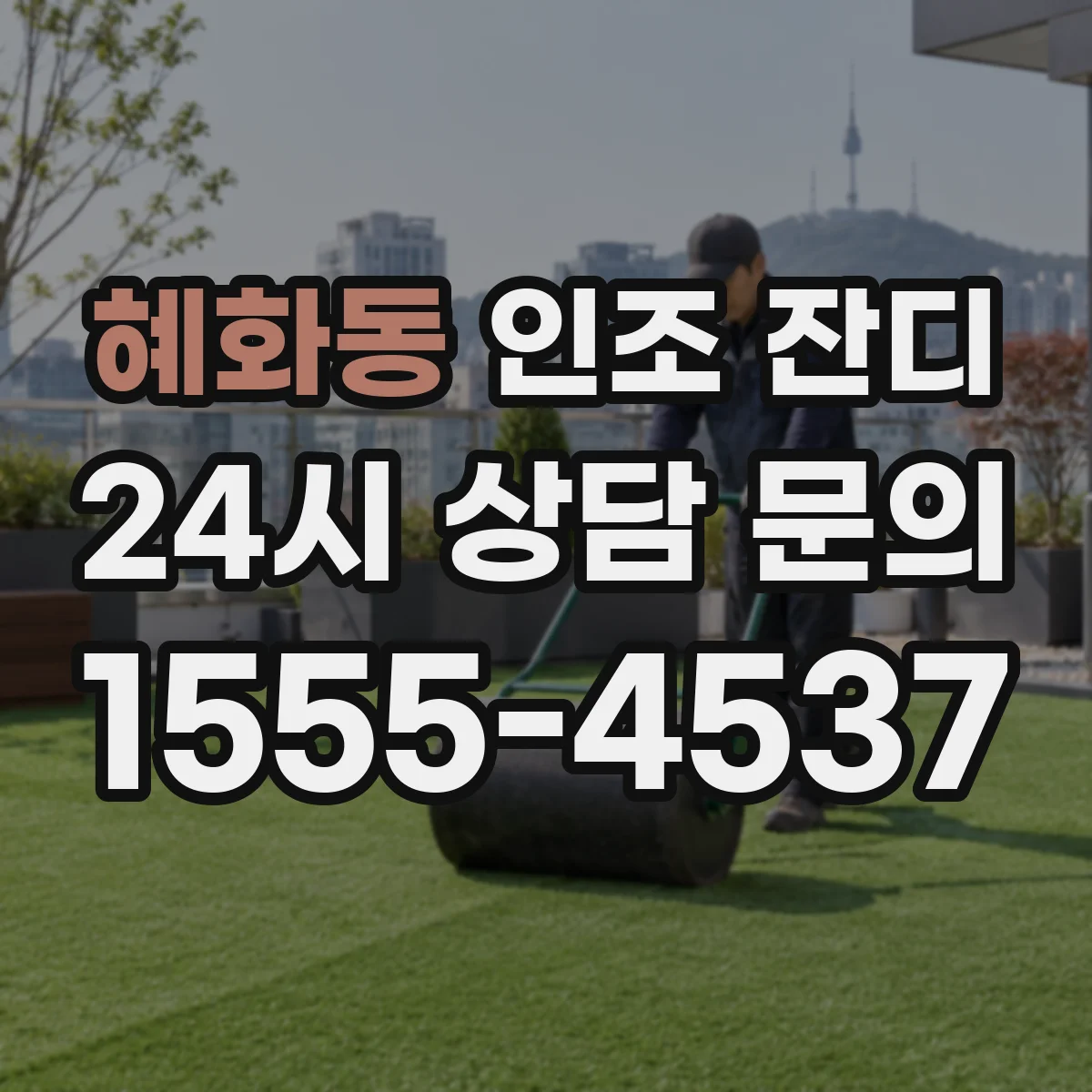 혜화동 인조 잔디