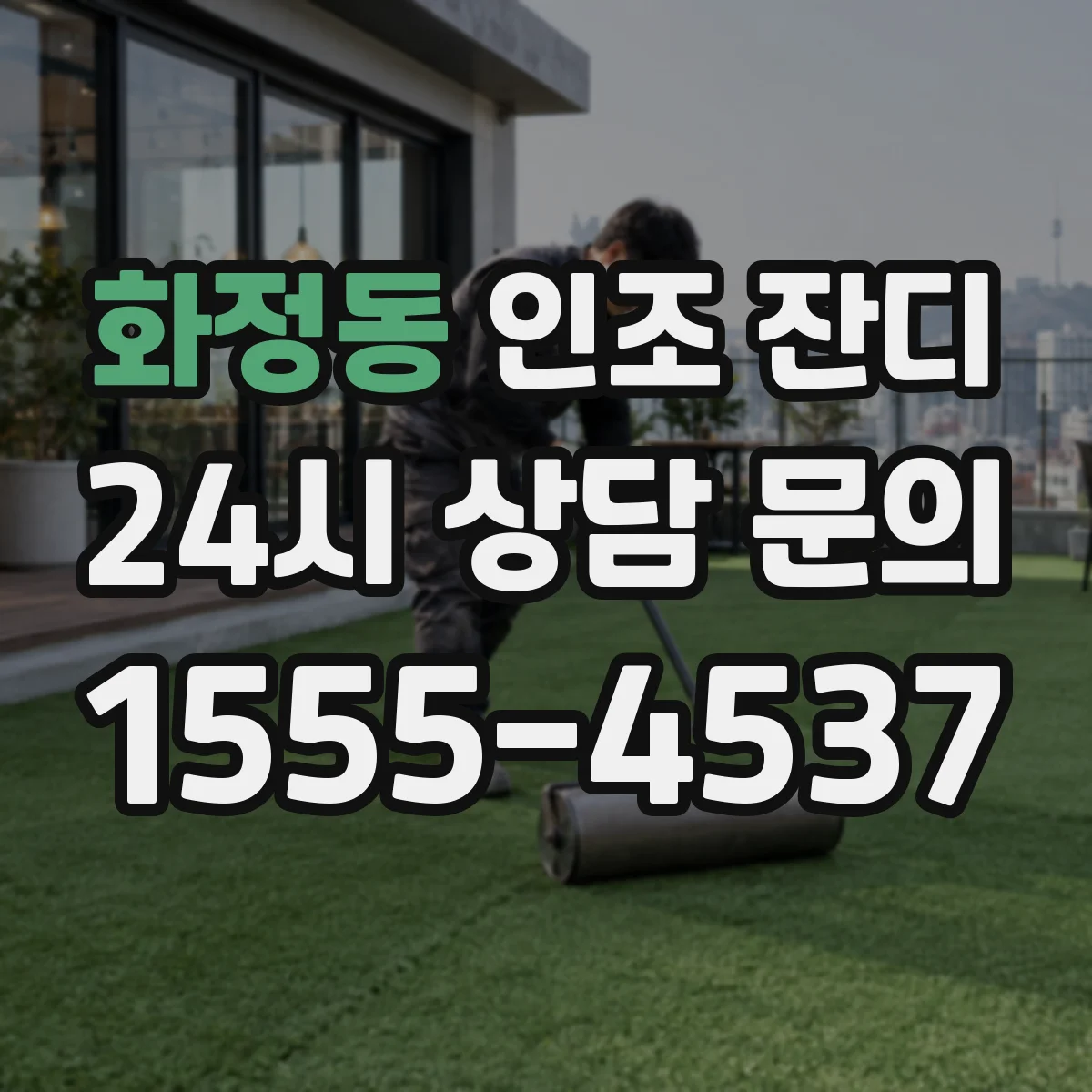 화정동 인조 잔디