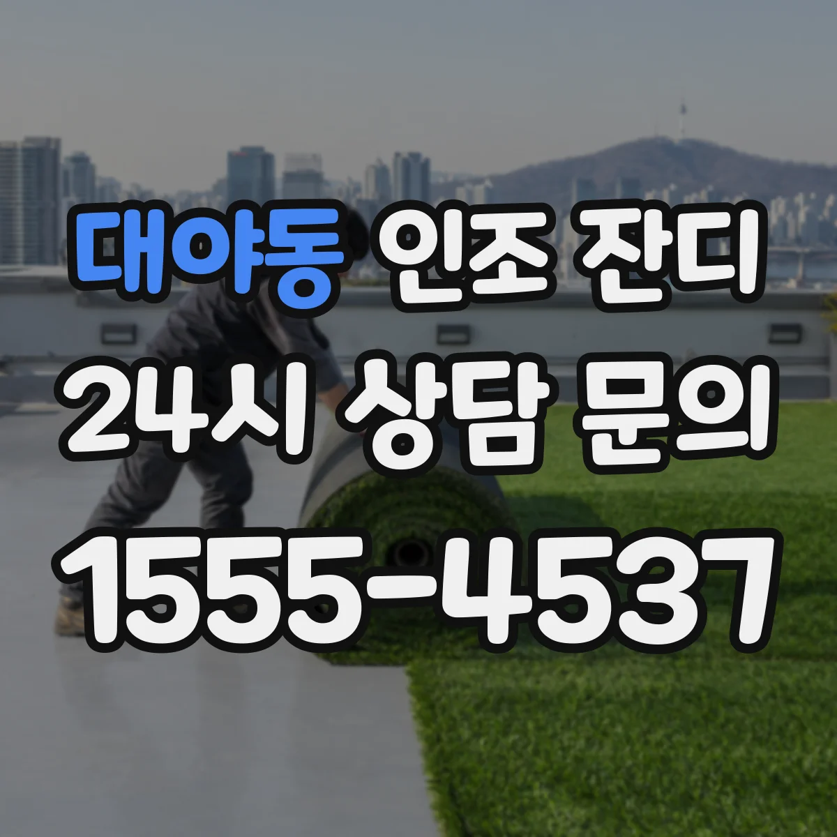 대야동 인조 잔디