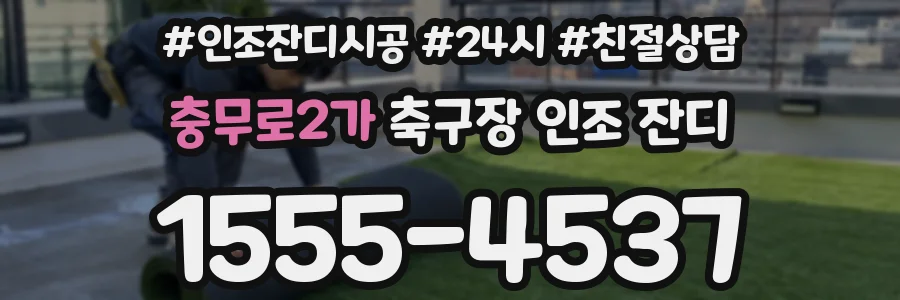 충무로2가 축구장 인조 잔디