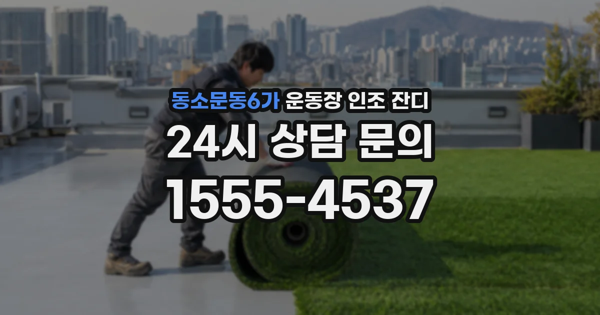 동소문동6가 운동장 인조 잔디