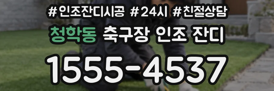 청학동 축구장 인조 잔디