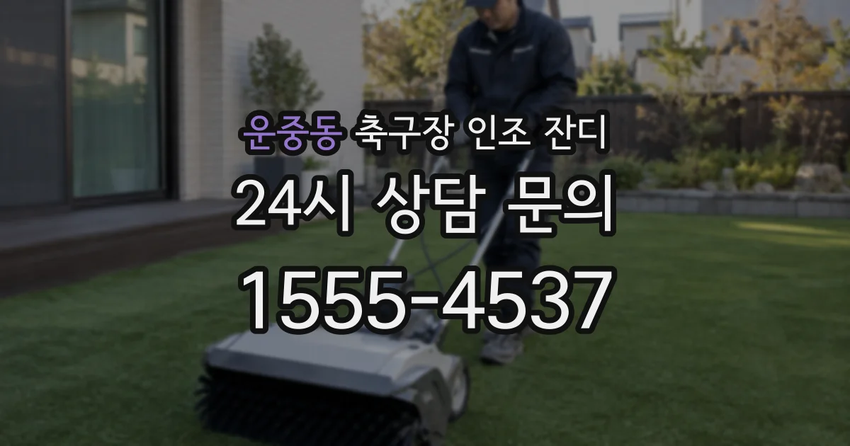 운중동 축구장 인조 잔디