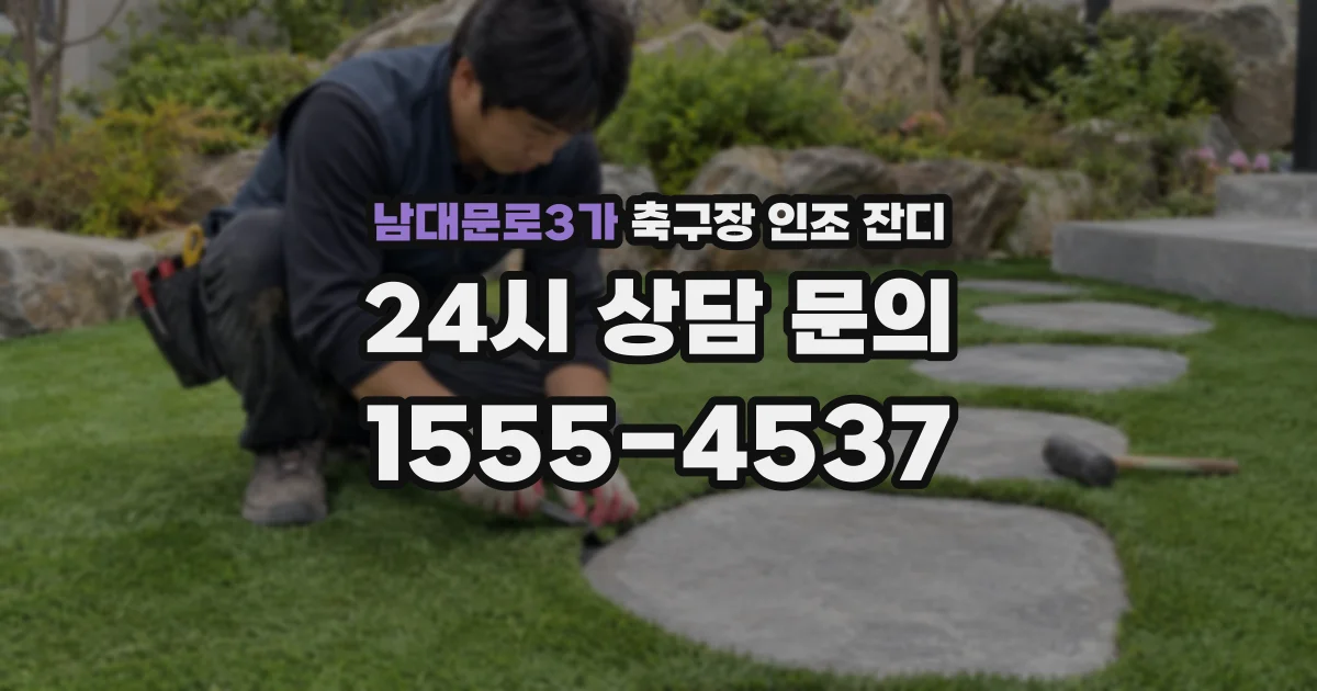 남대문로3가 축구장 인조 잔디