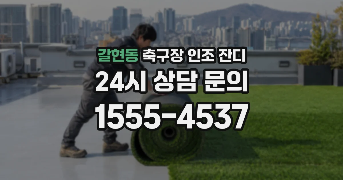 갈현동 축구장 인조 잔디