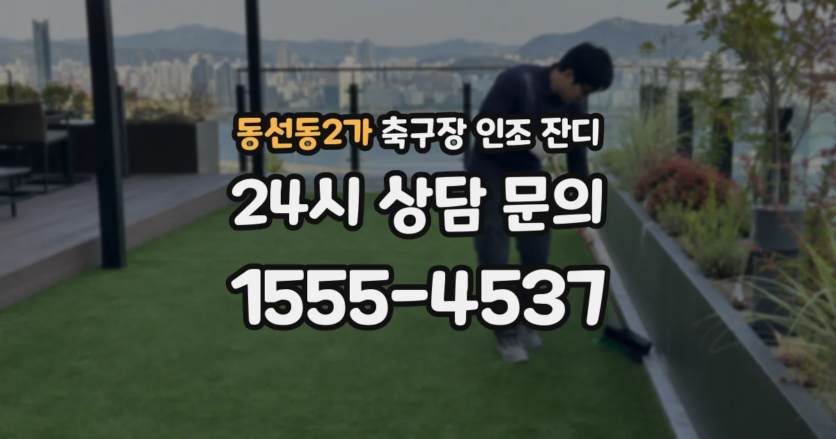 동선동2가 축구장 인조 잔디