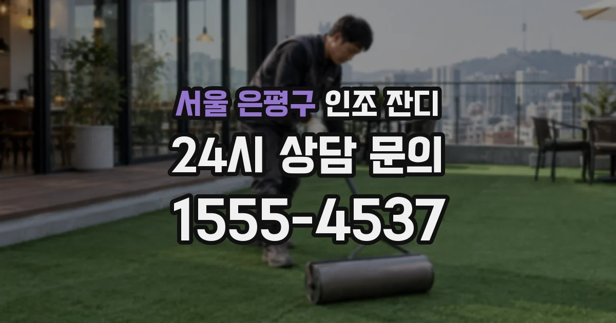 서울 은평구 인조 잔디