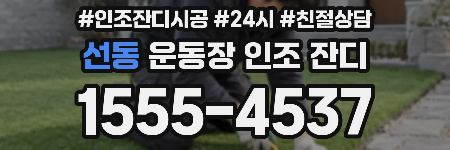 선동 운동장 인조 잔디