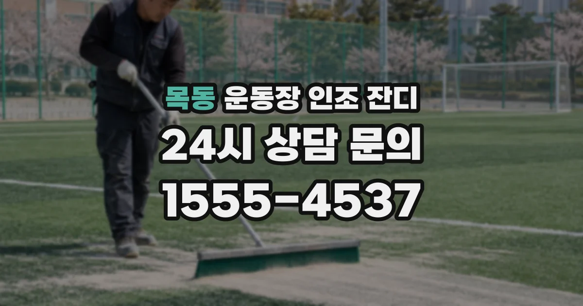 목동 운동장 인조 잔디