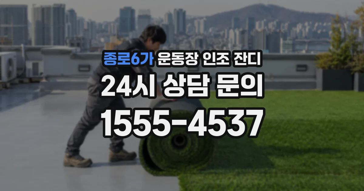 종로6가 운동장 인조 잔디