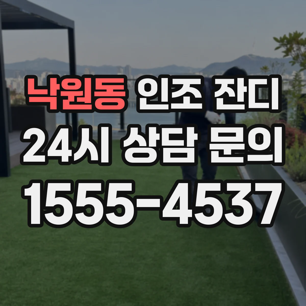 낙원동 인조 잔디