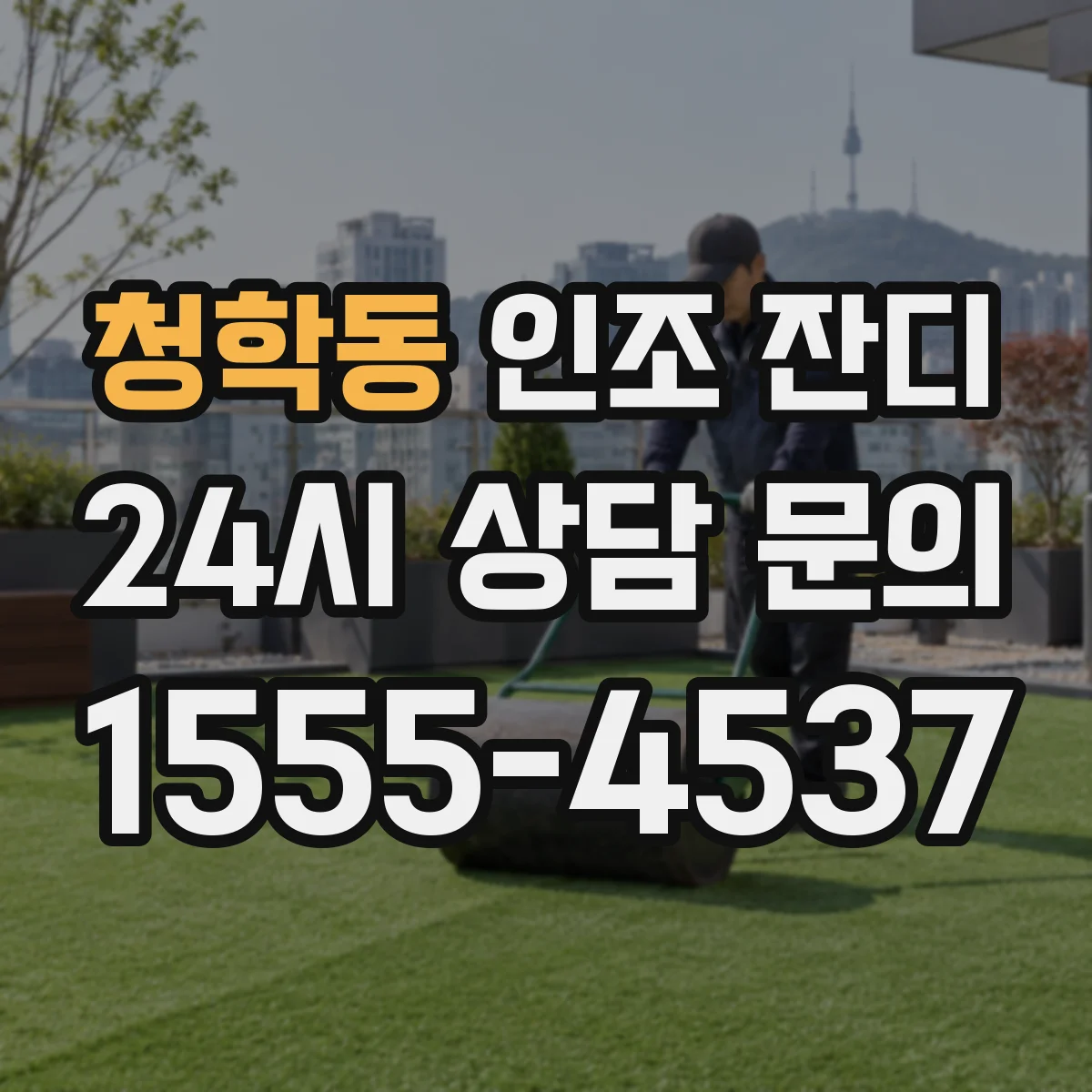 청학동 인조 잔디