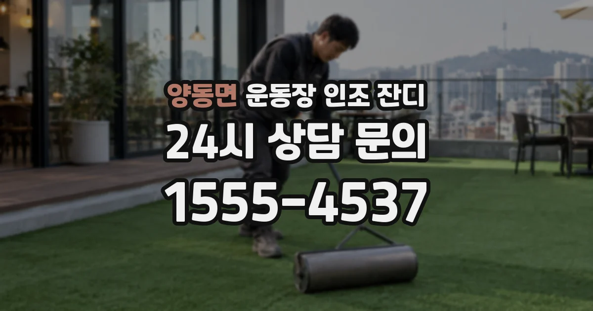 양동면 운동장 인조 잔디