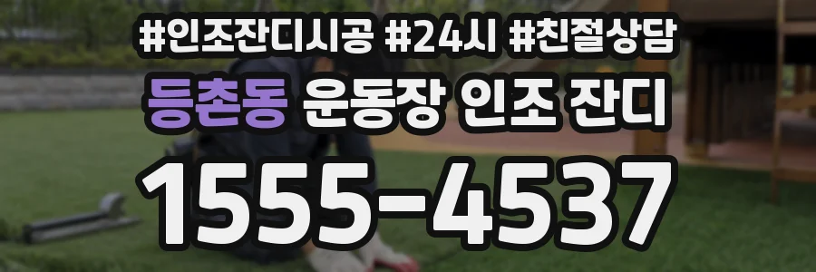 등촌동 운동장 인조 잔디