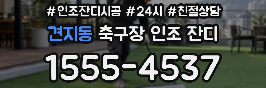 견지동 축구장 인조 잔디