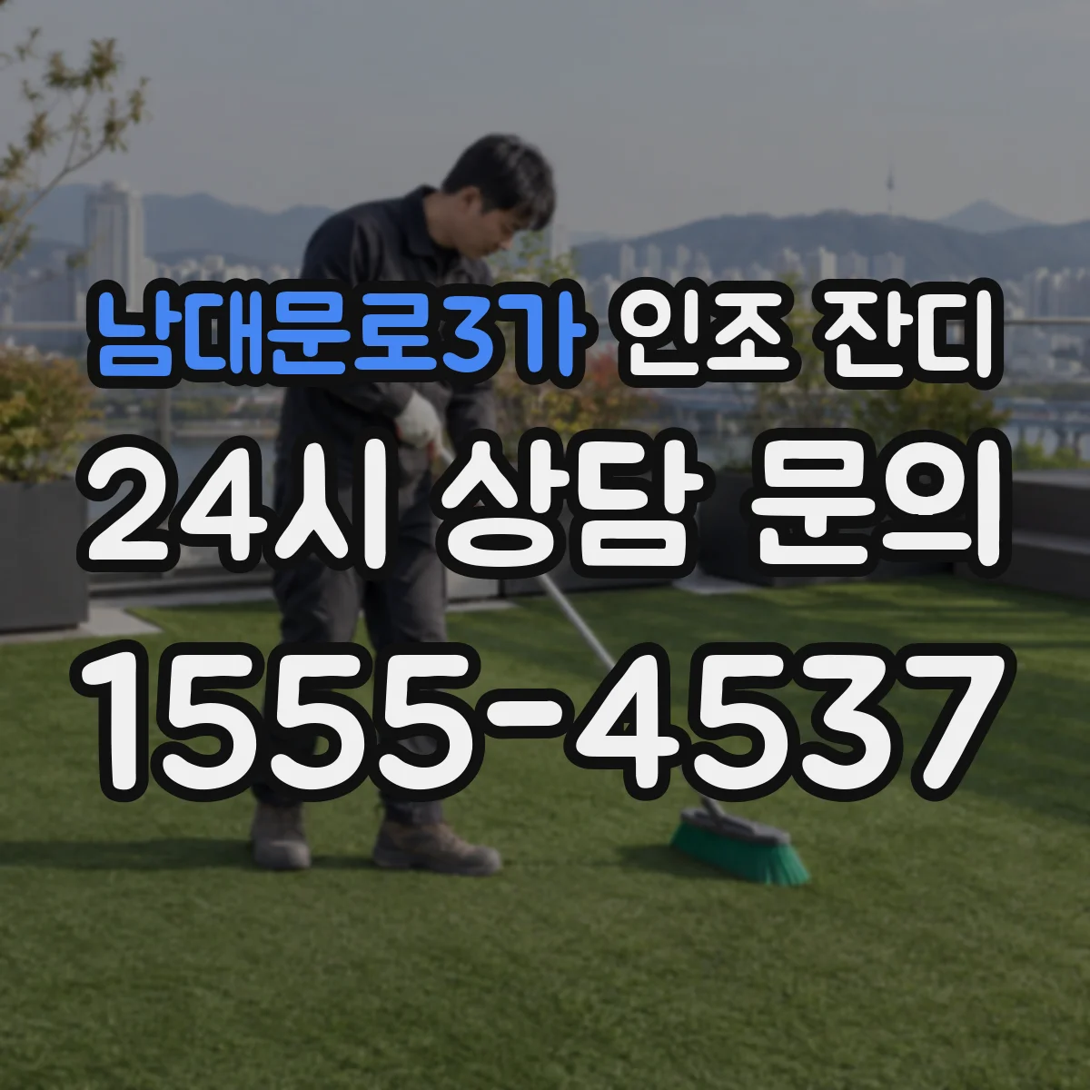 남대문로3가 인조 잔디