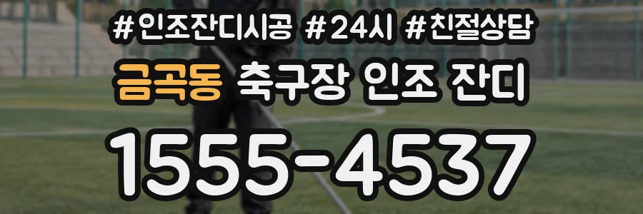 금곡동 축구장 인조 잔디