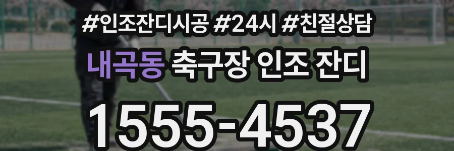 내곡동 축구장 인조 잔디