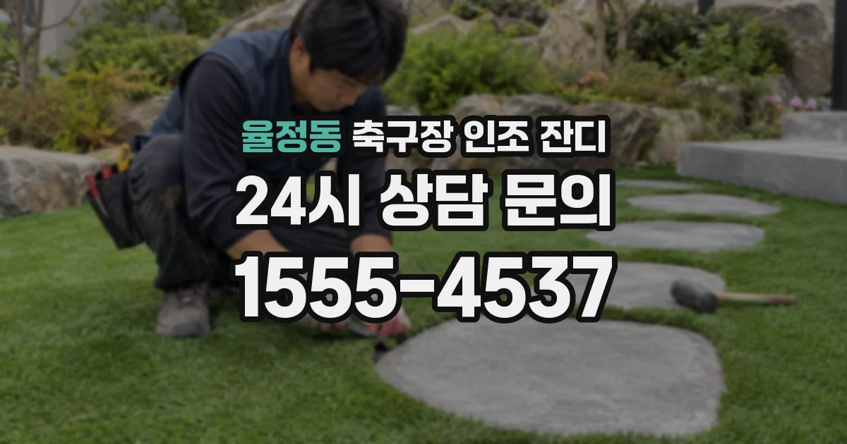 율정동 축구장 인조 잔디