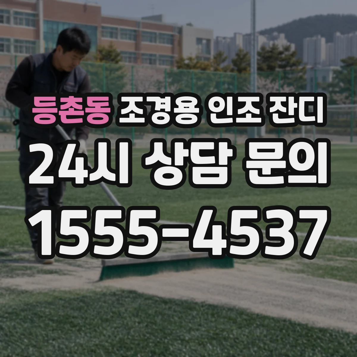 등촌동 조경용 인조 잔디