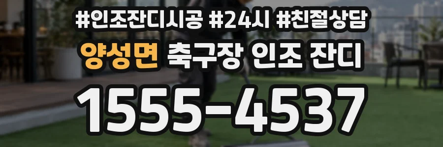 양성면 축구장 인조 잔디