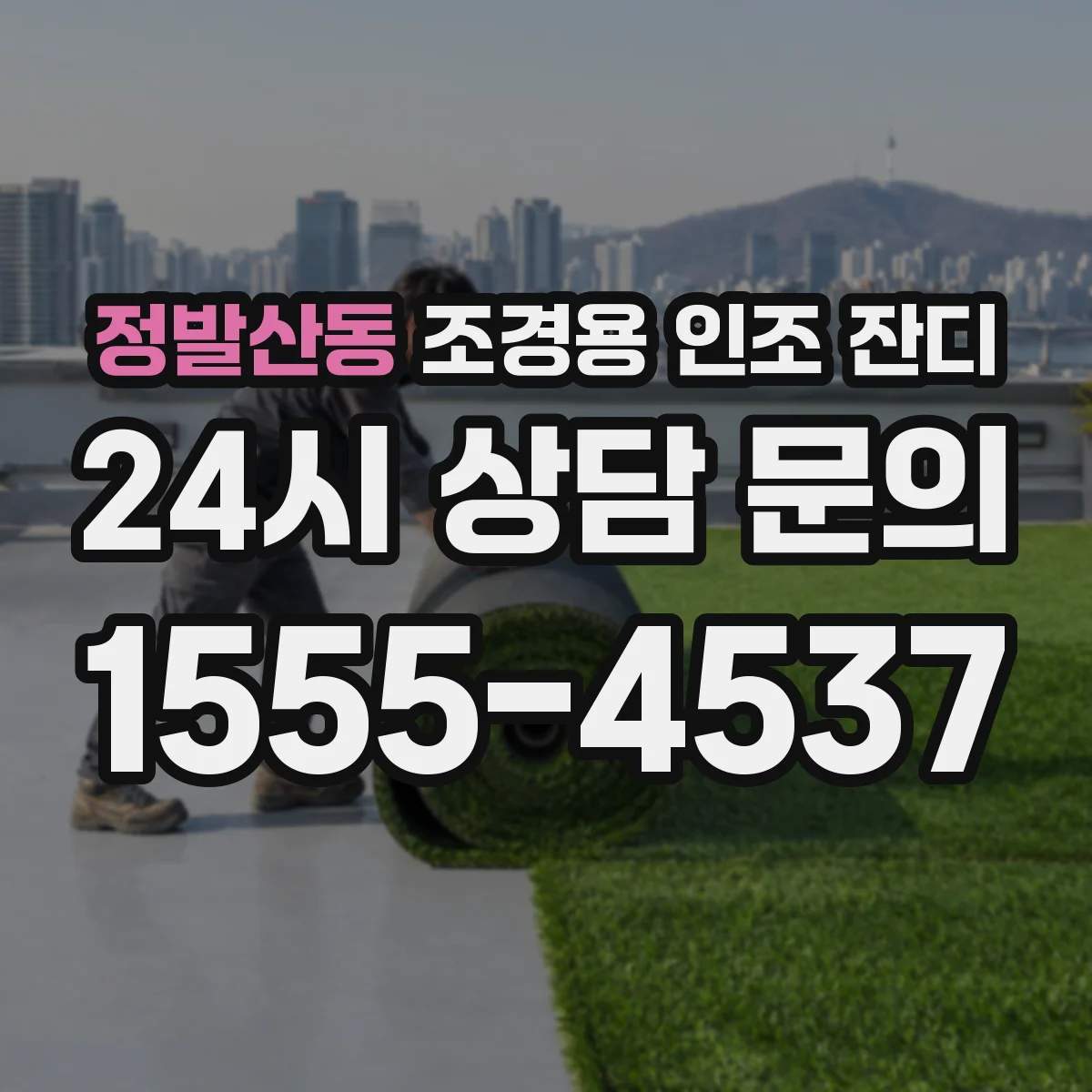 정발산동 조경용 인조 잔디