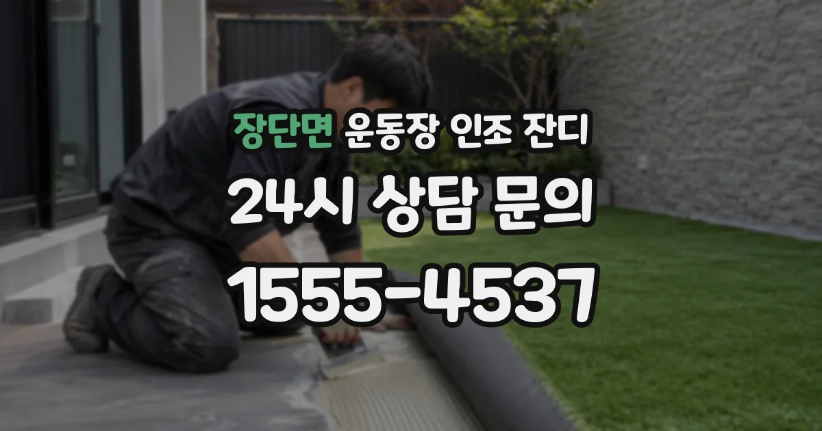 장단면 운동장 인조 잔디