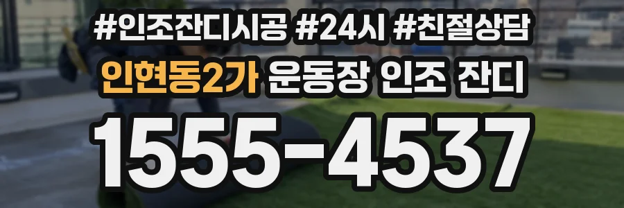 인현동2가 운동장 인조 잔디
