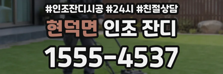 현덕면 인조 잔디