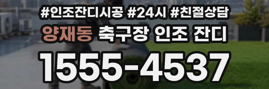 양재동 축구장 인조 잔디