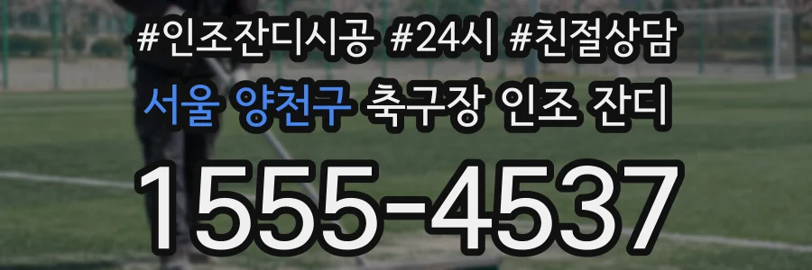 서울 양천구 축구장 인조 잔디