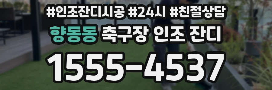 향동동 축구장 인조 잔디