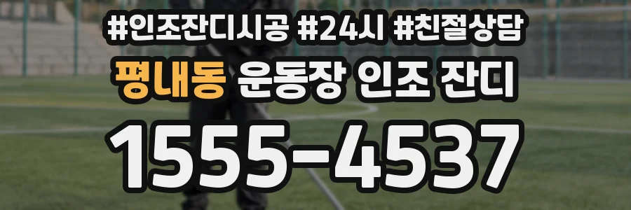평내동 운동장 인조 잔디