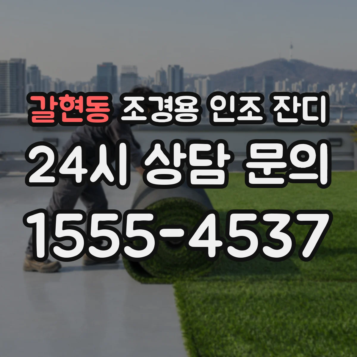 갈현동 조경용 인조 잔디