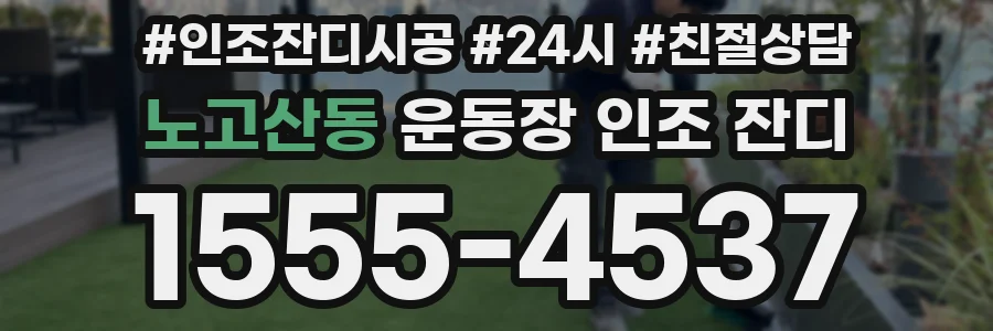 노고산동 운동장 인조 잔디